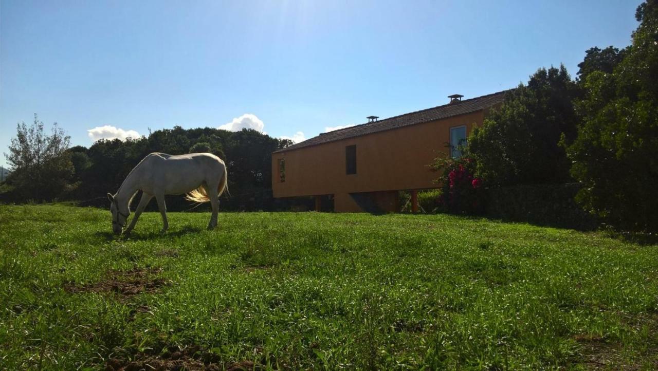 Quinta Da Falesia - Casa Amarela Ponta Delgada  Exterior photo